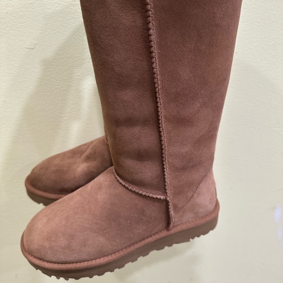 Tall Chestnut Uggs Brand New - Picture 4 of 4